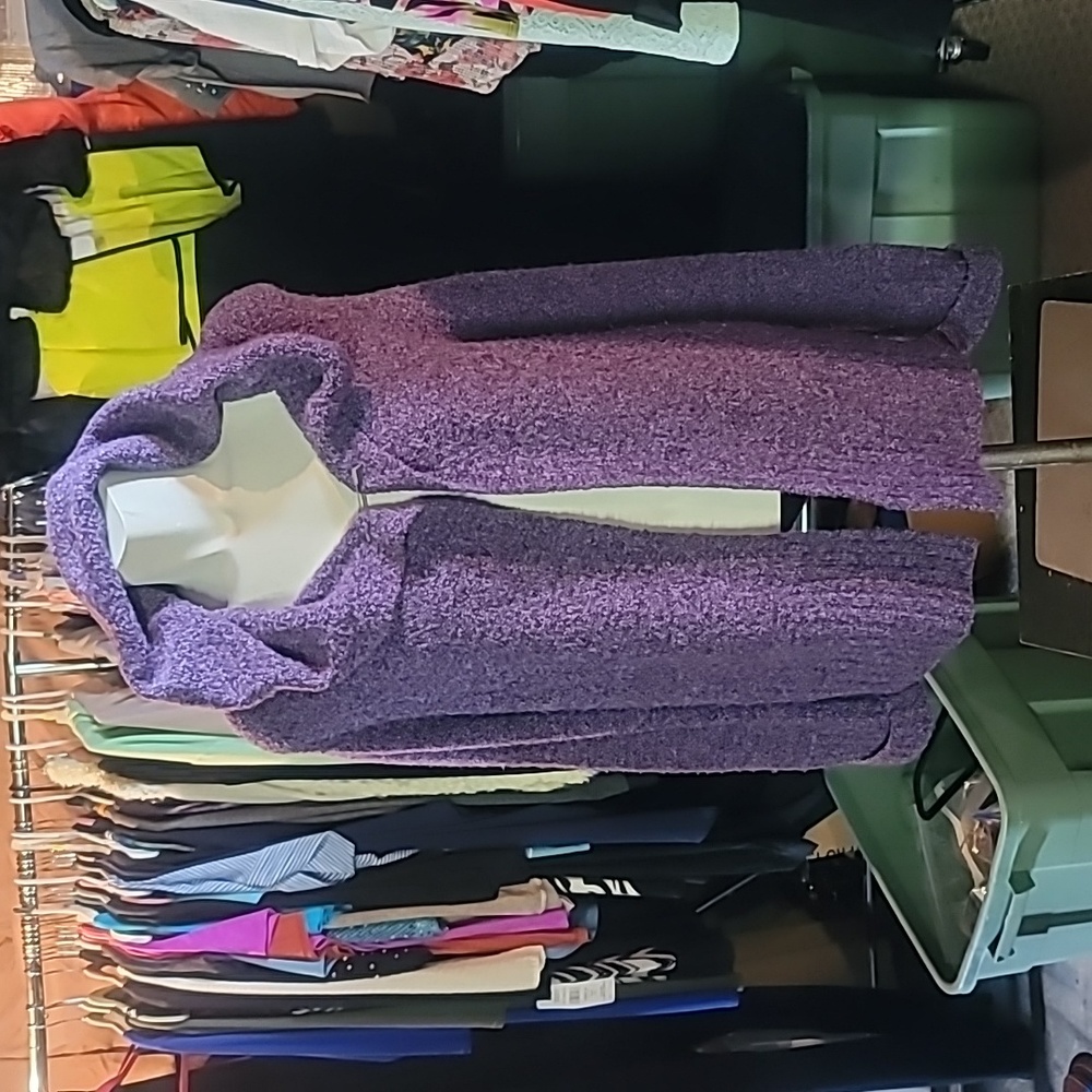 Eileen Fischer Italian Yarn Hooded purple sweater.